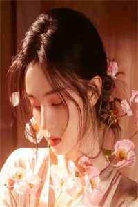 权宠悍妻短篇小说阅读