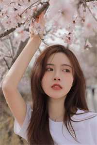 万人迷：九个未婚夫为我争风吃醋短篇小说