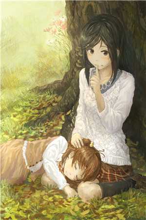 假婚真爱，她和律师前任闪婚了优质全文