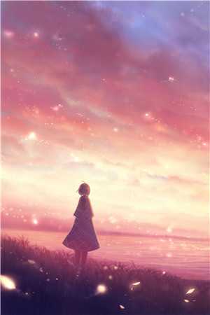 狐狸情话全文版