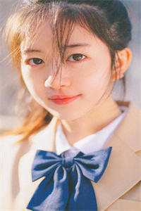 进忠嬿婉原文