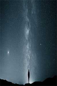 全集小说阅读兼职明星：不小心成顶流了