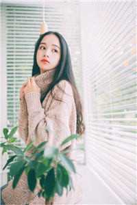 为报仇，我与恶人同行精彩小说