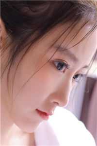 畅销书籍官路芳美人