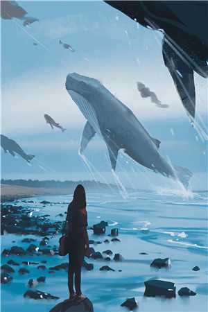 兼职明星：不小心成顶流了短篇小说