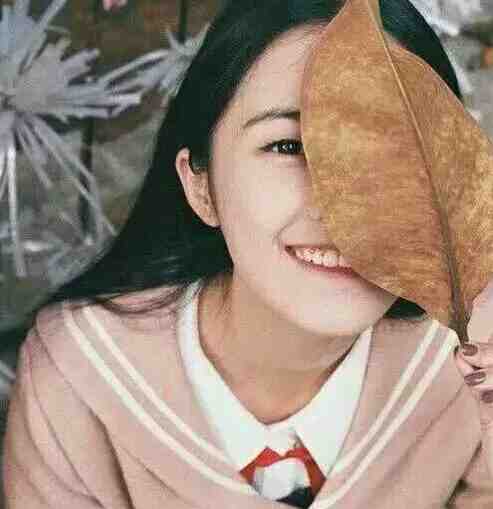 黄帝秘藏小说