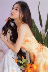 畅销书目遵命，我的美女县长！
