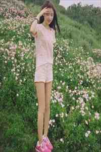 完整章节阅读丹娘