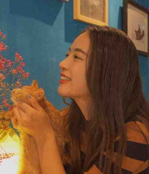 追什么女主？软饭不香吗完结版阅读