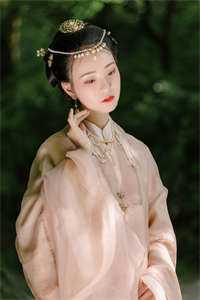 夫君宠妾灭妻，我转头嫁权臣精品推介