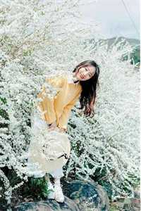 入赘后，总裁老婆心爱白月光小说