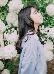 精品推介顾总，夫人要离婚