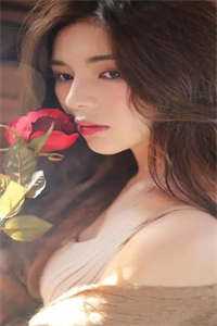 隐龙赘婿全集