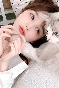 精选小说无敌猎艳高手