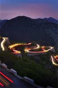 青桃压枝