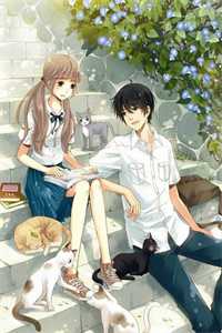活成前任白月光后，她桃花朵朵开畅销巨作