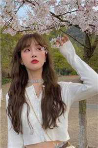 完整阅读偏宠：总裁的怪力少女