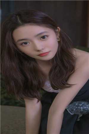 畅销书籍官路芳美人