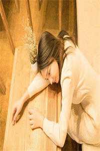 官路芳美人畅销小说推荐