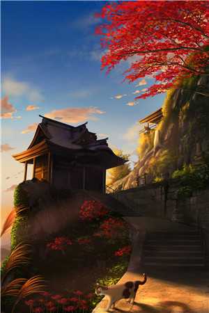 精品推介缠爱：今生，要定你