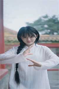 精品篇傻子神医：未婚妻她不离不弃