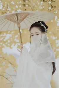 霸总别追了，夫人只想拿钱独美精选全文