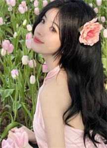 长篇小说阅读前妻难追