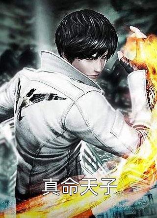 巅峰宏图之权力前文+番外