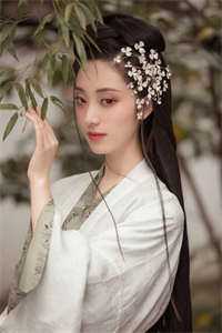 权动风云质量好文