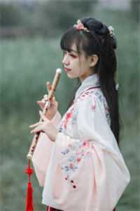 步步高升：从秘书到万人之上高口碑