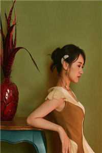 全文阅读重逢大佬红了眼，再度沦陷