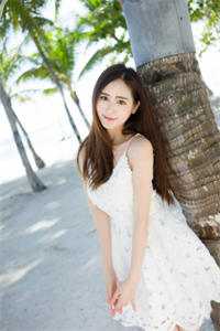 官场飞龙舒振东周莹小说结局