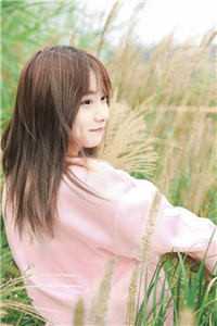 重生回机长未婚夫的白月光坠机前傅西深安岚小说