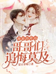 官之道无删减版
