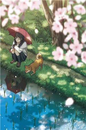 植物人老公清醒后，她决定离婚精彩小说