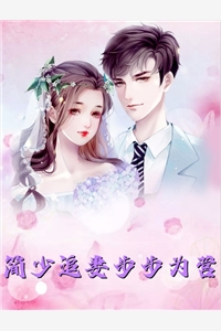官场弃婿，被渣后走上仕途巅峰后续+完结