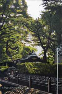 爱已过期，从此陌路全章节