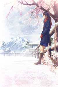 离婚后，大佬对我虎视眈眈完结版