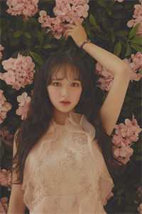 萱草花抖音热门