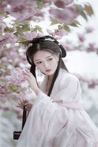 项回舟丁念慈妹妹被劫受辱时，我搂着美人喝花酒小说全文免费阅读