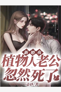 步步登高林克风铃儿