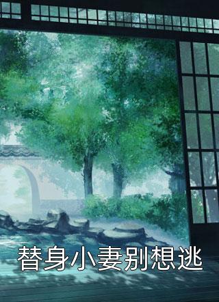 魏明承魏郎的小说骗我深情以偿