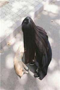 重生后，师姐交换了我的师尊