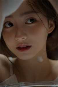 西风恨流年