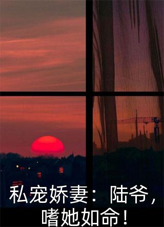 待蔷薇盛放时全文小说林初暖顾淮南最新章节