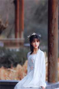 系统：当我决定争宠后，后宫无敌手