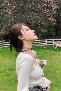 明月今夜至何乡