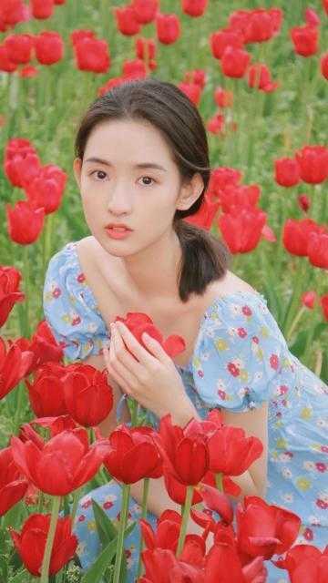 完结版小说梧桐未见情深by薄瑾言秦森宁