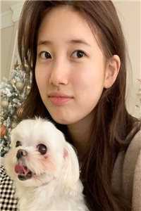 沈安安萧渊写的小说强嫁的皇子捂不热，重生她不要了全文阅读