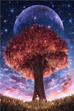 她说一句桂花美，桂花为她种满城